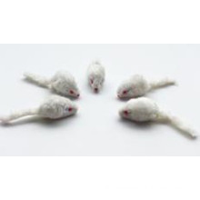 Pet Toy, Small White Mouse